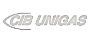 logo_cib-unigas Горелки: 13005069 Горелка гзовая С.30 GX507 D30/30 T2, 200-300 кВт