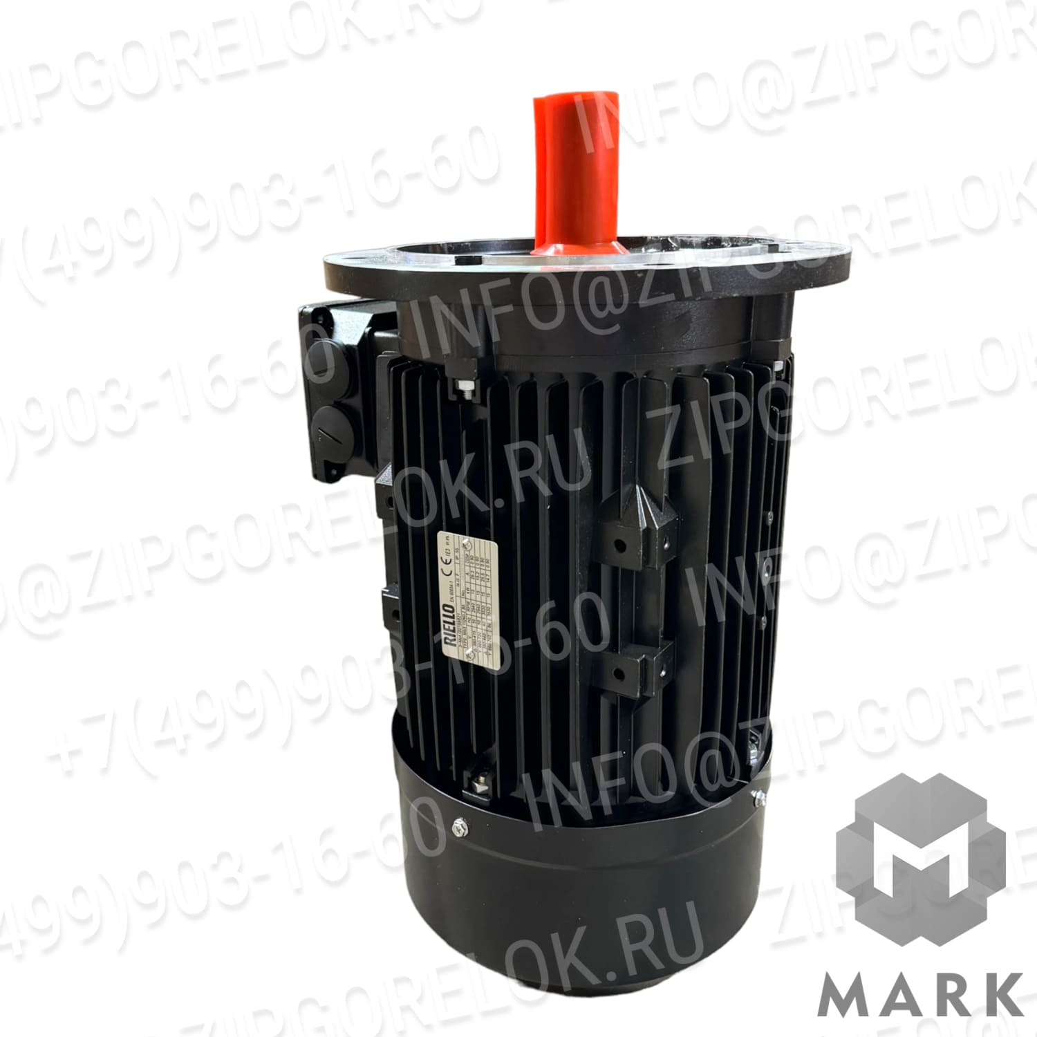 20050961 Двигатель Riello