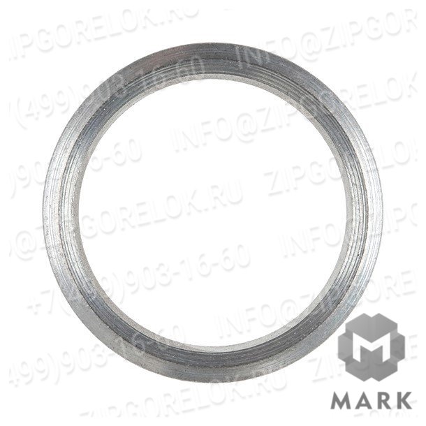 450652 Edge Уплотнительное кольцо GP-SR-G1/2B-H5-ST-C21. Weishaupt (Вайсхаупт)