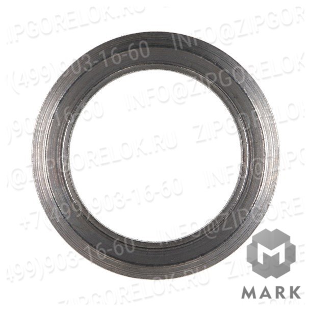 450670 Edge Уплотнительное кольцо GP-SR-G1/8B-H2,5-ST. Weishaupt (Вайсхаупт)